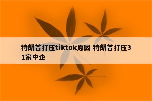 特朗普打压tiktok原因 特朗普打压31家中企