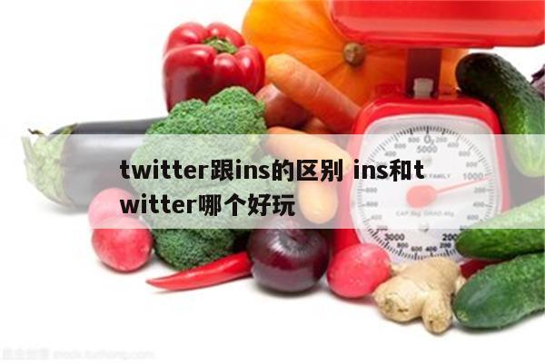 twitter跟ins的区别 ins和twitter哪个好玩
