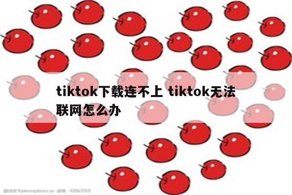 tiktok下载连不上 tiktok无法联网怎么办