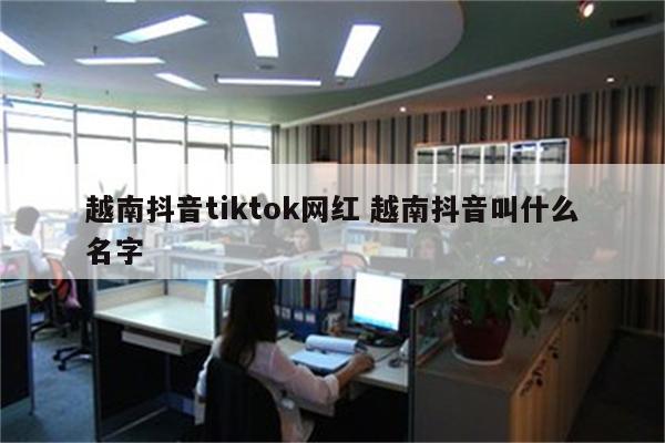 越南抖音tiktok网红 越南抖音叫什么名字