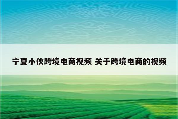 宁夏小伙跨境电商视频 关于跨境电商的视频