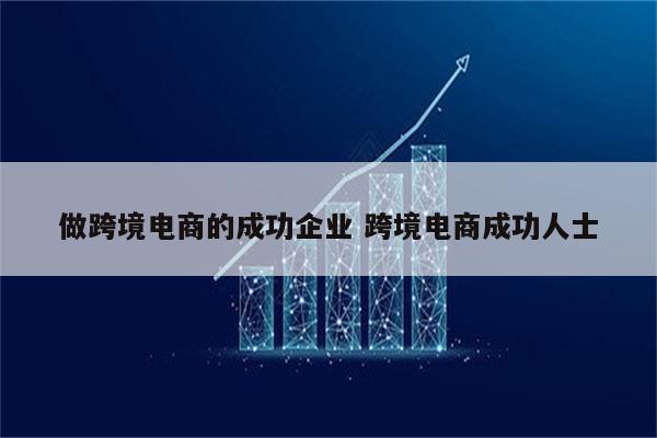 做跨境电商的成功企业 跨境电商成功人士