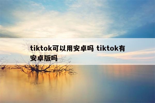 tiktok可以用安卓吗 tiktok有安卓版吗