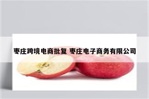枣庄跨境电商批复 枣庄电子商务有限公司