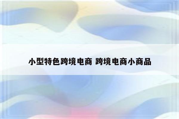 小型特色跨境电商 跨境电商小商品