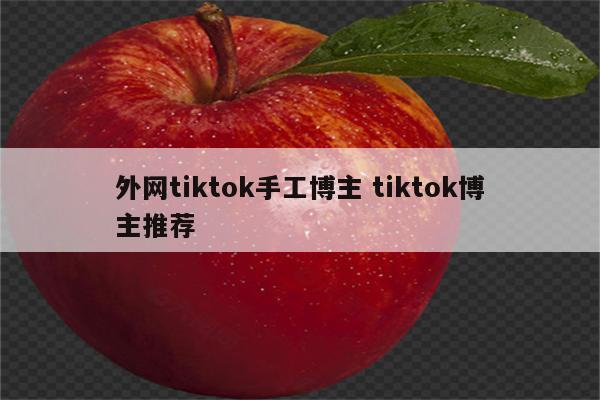 外网tiktok手工博主 tiktok博主推荐