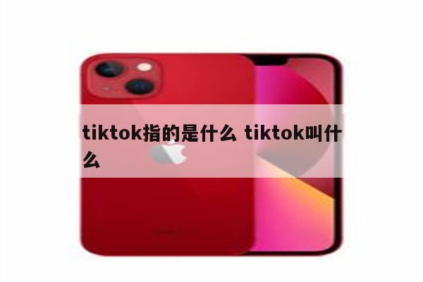 tiktok指的是什么 tiktok叫什么