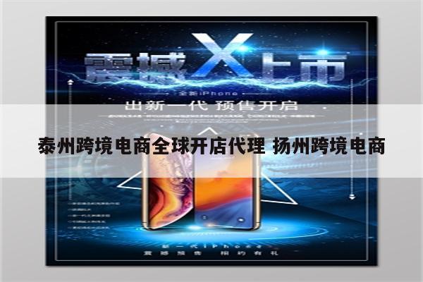 泰州跨境电商全球开店代理 扬州跨境电商