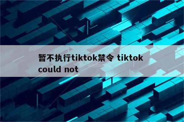 暂不执行tiktok禁令 tiktok could not