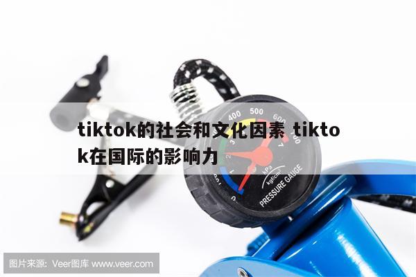 tiktok的社会和文化因素 tiktok在国际的影响力