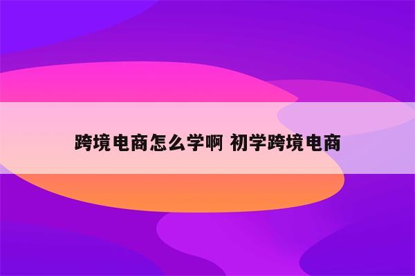 跨境电商怎么学啊 初学跨境电商
