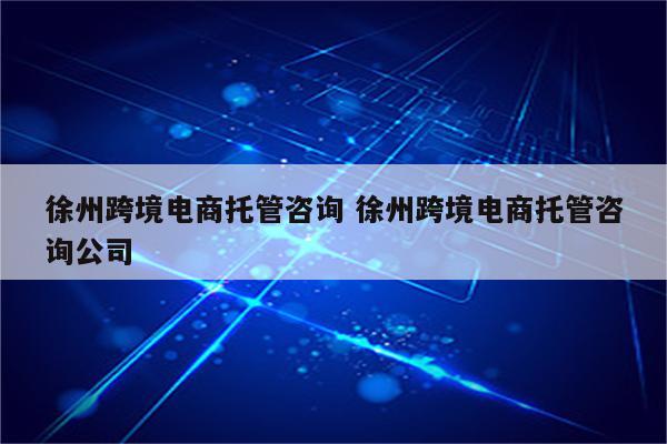徐州跨境电商托管咨询 徐州跨境电商托管咨询公司