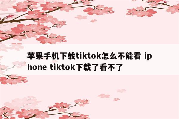 苹果手机下载tiktok怎么不能看 iphone tiktok下载了看不了