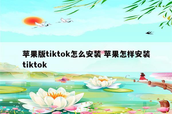苹果版tiktok怎么安装 苹果怎样安装tiktok