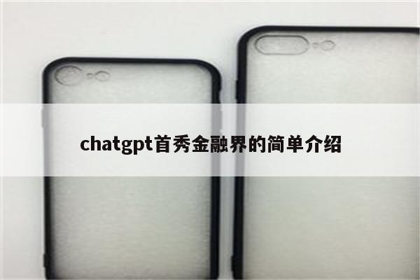 chatgpt首秀金融界的简单介绍