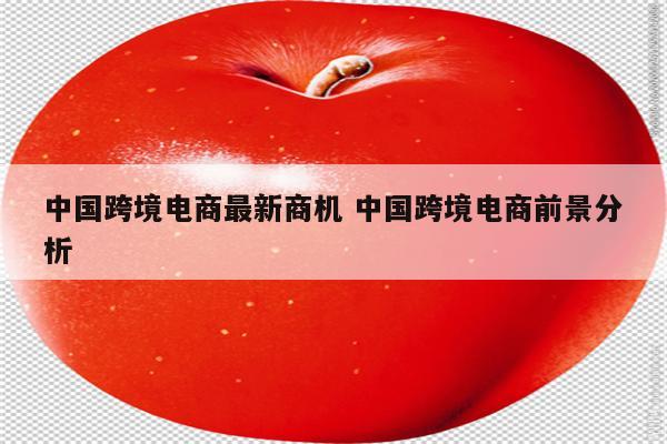 中国跨境电商最新商机 中国跨境电商前景分析