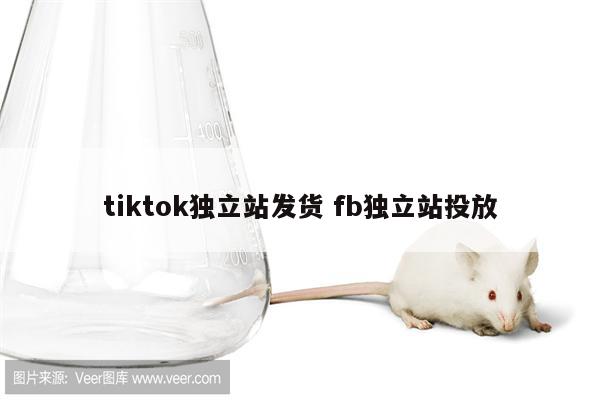 tiktok独立站发货 fb独立站投放
