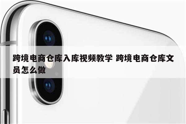 跨境电商仓库入库视频教学 跨境电商仓库文员怎么做