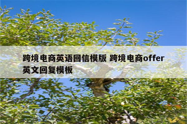 跨境电商英语回信模版 跨境电商offer英文回复模板