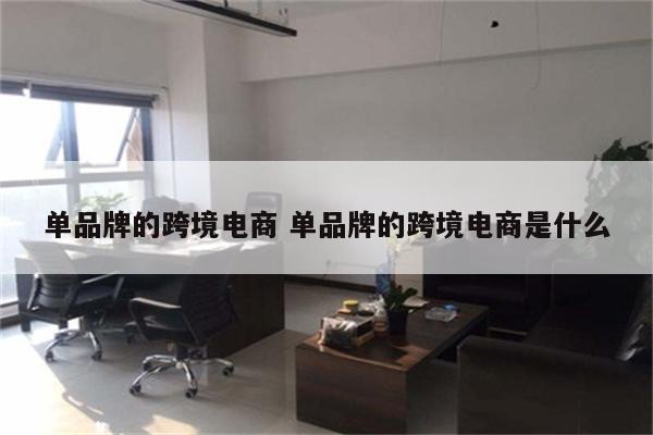 单品牌的跨境电商 单品牌的跨境电商是什么