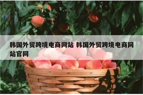 韩国外贸跨境电商网站 韩国外贸跨境电商网站官网