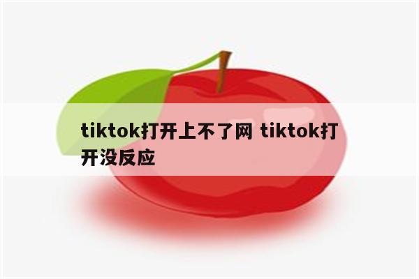 tiktok打开上不了网 tiktok打开没反应