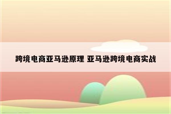 跨境电商亚马逊原理 亚马逊跨境电商实战