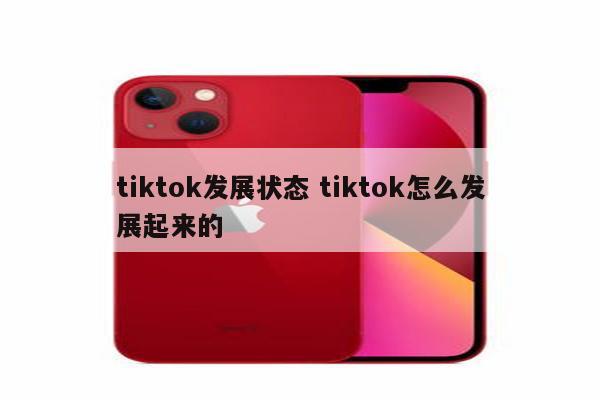 tiktok发展状态 tiktok怎么发展起来的
