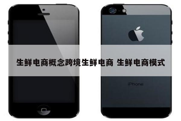 生鲜电商概念跨境生鲜电商 生鲜电商模式