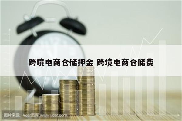 跨境电商仓储押金 跨境电商仓储费