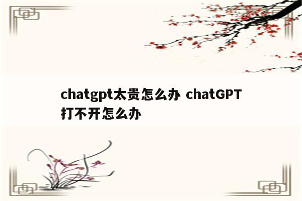 chatgpt太贵怎么办 chatGPT打不开怎么办