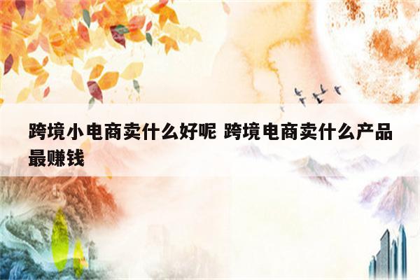 跨境小电商卖什么好呢 跨境电商卖什么产品最赚钱