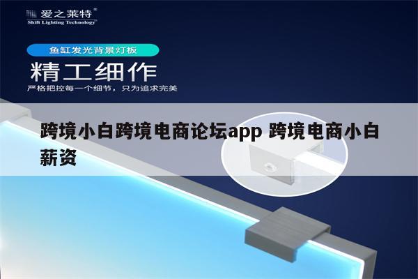 跨境小白跨境电商论坛app 跨境电商小白薪资