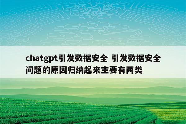 chatgpt引发数据安全 引发数据安全问题的原因归纳起来主要有两类