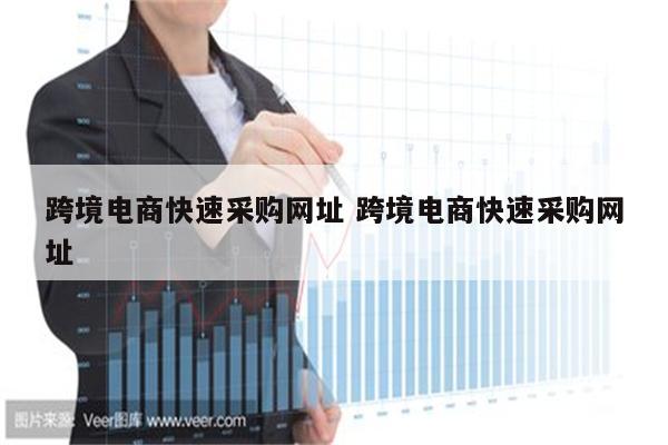 跨境电商快速采购网址 跨境电商快速采购网址