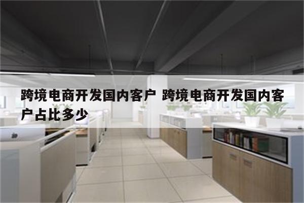 跨境电商开发国内客户 跨境电商开发国内客户占比多少