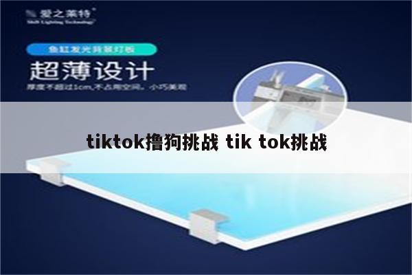 tiktok撸狗挑战 tik tok挑战