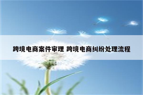 跨境电商案件审理 跨境电商纠纷处理流程