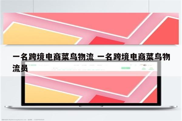 一名跨境电商菜鸟物流 一名跨境电商菜鸟物流员