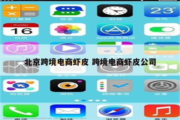 北京跨境电商虾皮 跨境电商虾皮公司