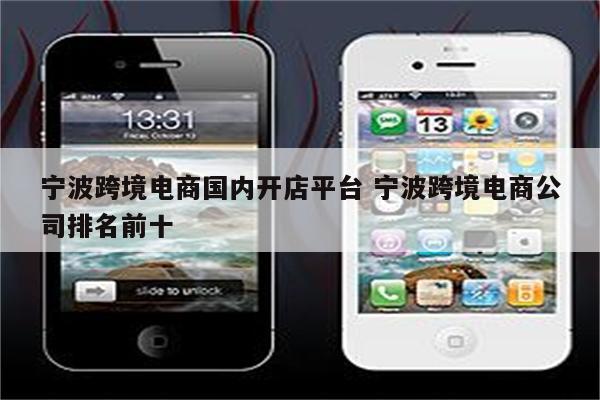 宁波跨境电商国内开店平台 宁波跨境电商公司排名前十