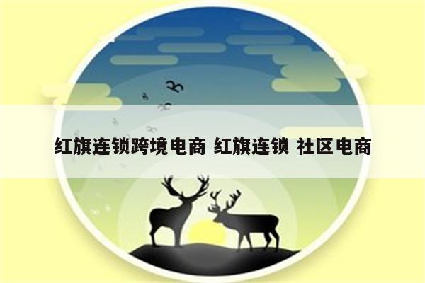 红旗连锁跨境电商 红旗连锁 社区电商