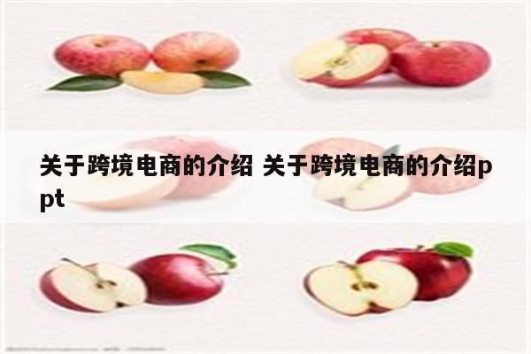 关于跨境电商的介绍 关于跨境电商的介绍ppt