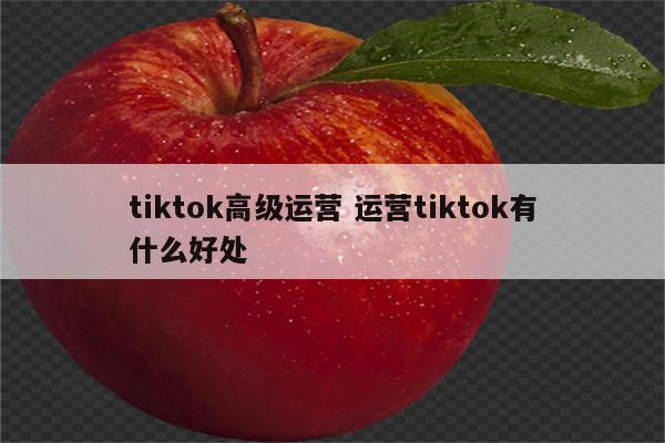 tiktok高级运营 运营tiktok有什么好处