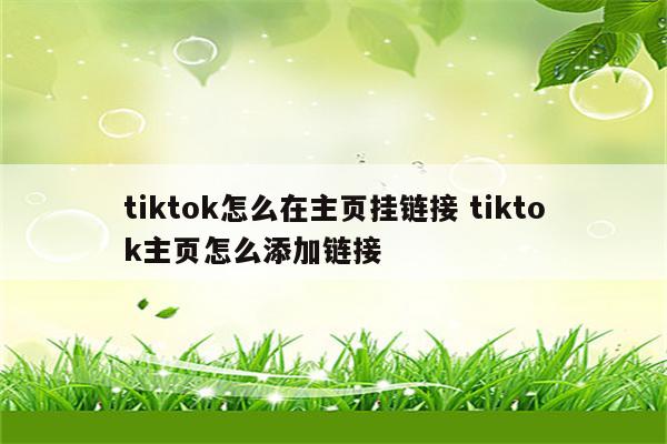 tiktok怎么在主页挂链接 tiktok主页怎么添加链接