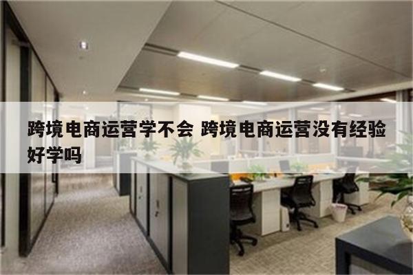 跨境电商运营学不会 跨境电商运营没有经验好学吗