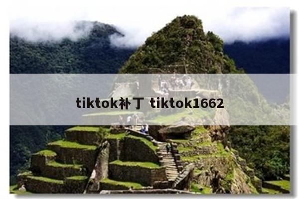 tiktok补丁 tiktok1662