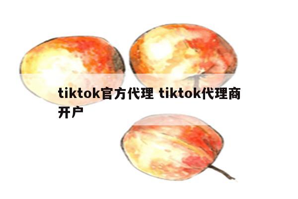 tiktok官方代理 tiktok代理商开户