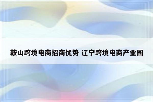 鞍山跨境电商招商优势 辽宁跨境电商产业园