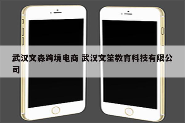 武汉文森跨境电商 武汉文笙教育科技有限公司